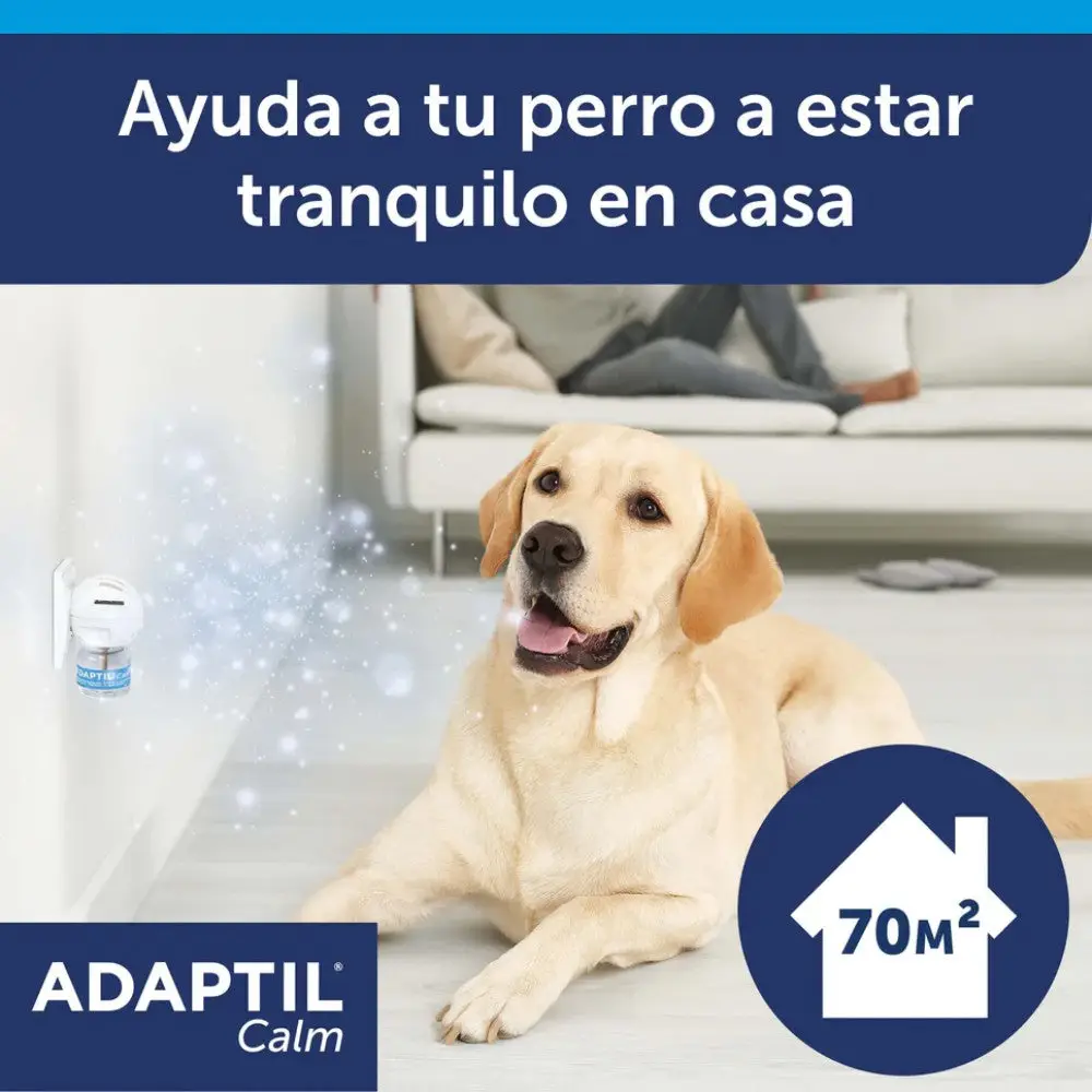 Imagen del producto 2