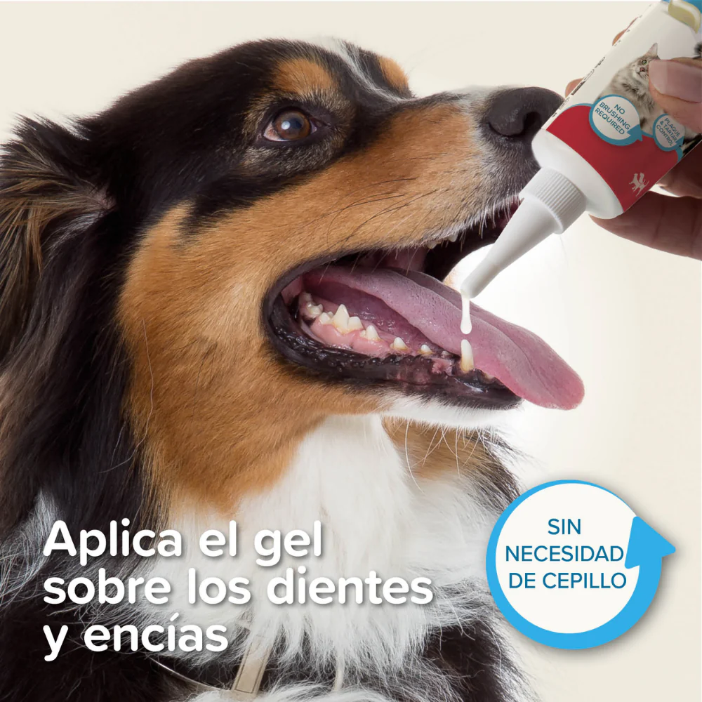Imagen del producto 3