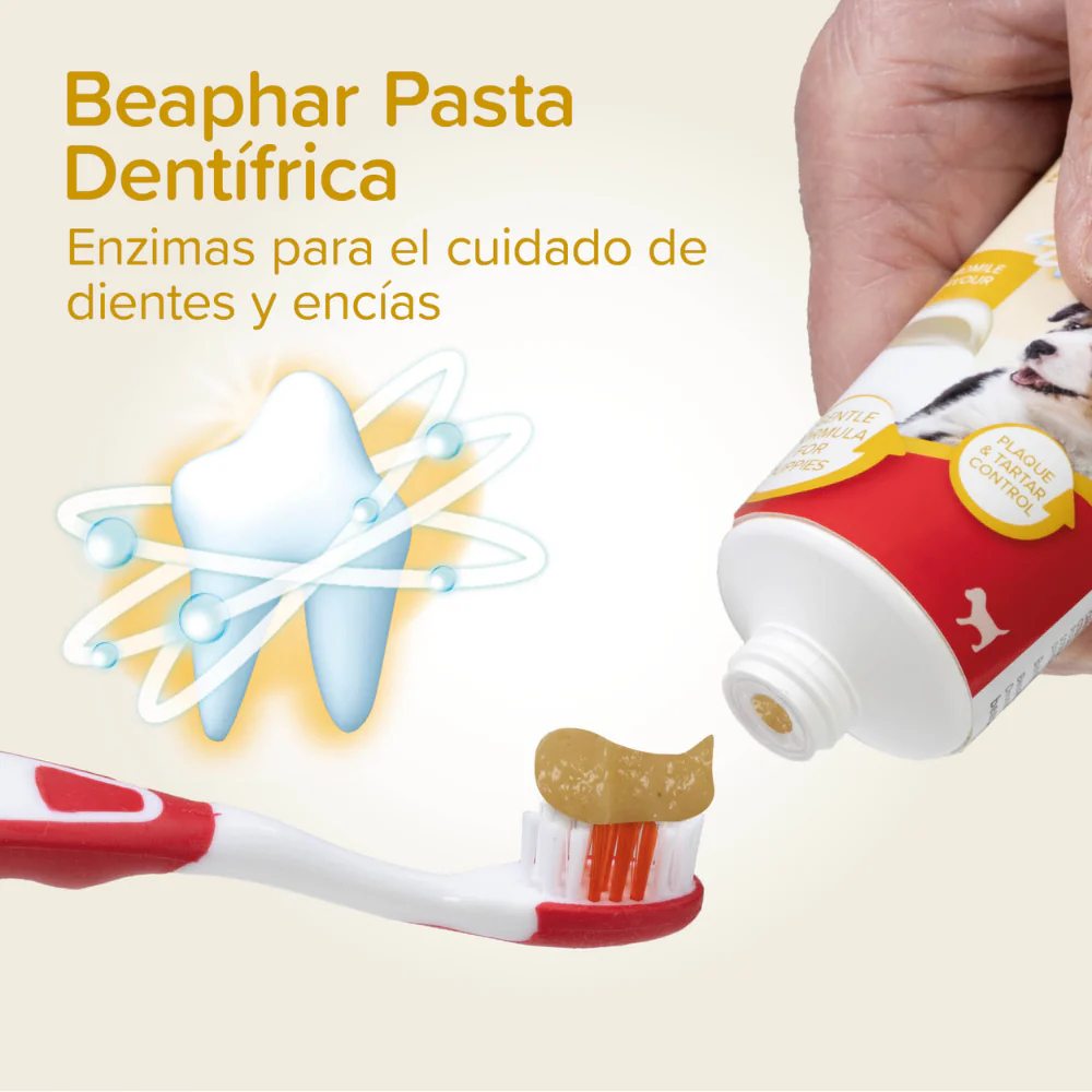Imagen del producto 6