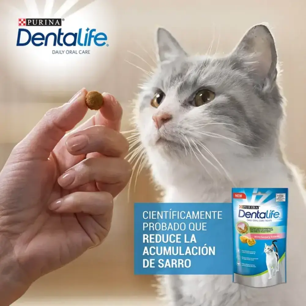 Imagen del producto 7