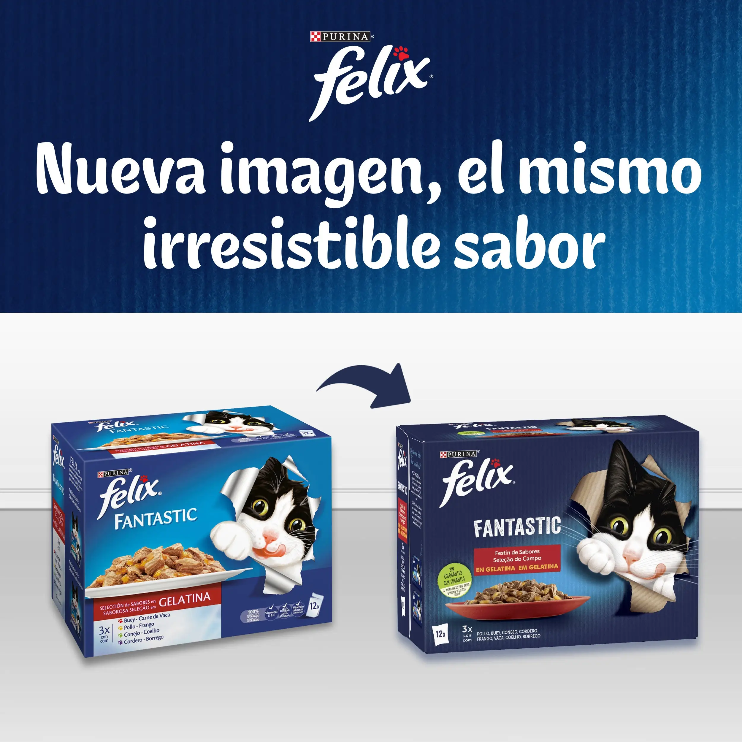 Imagen del producto 2