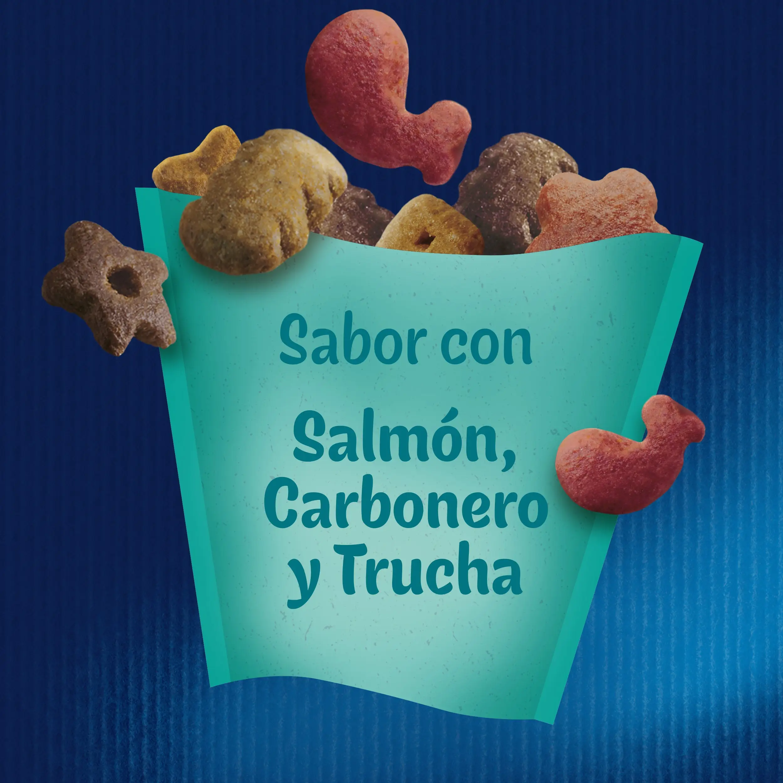 Imagen del producto 2
