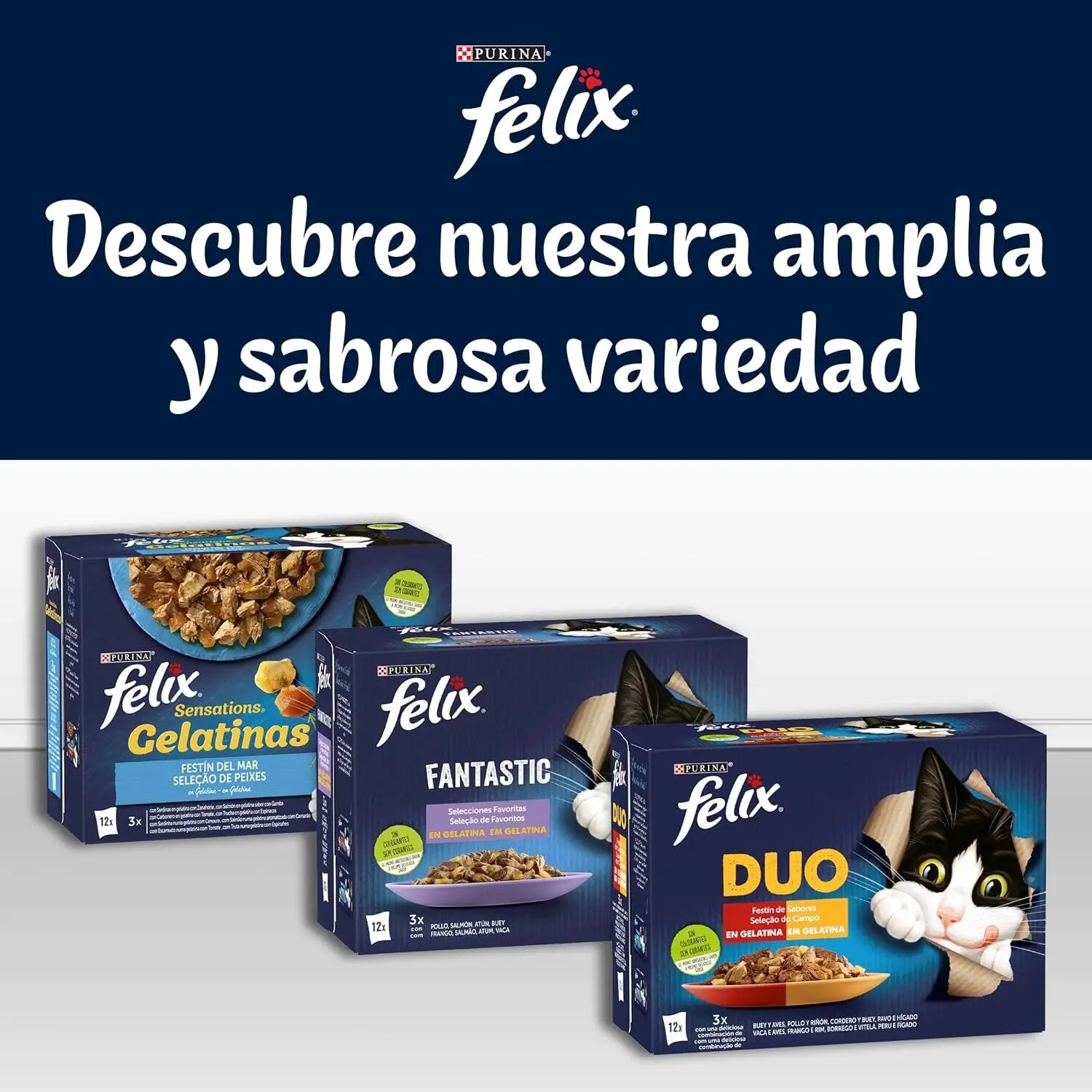 Imagen del producto 7
