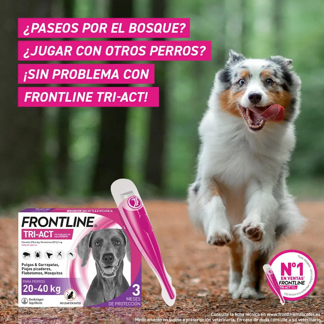 Imagen del producto 10