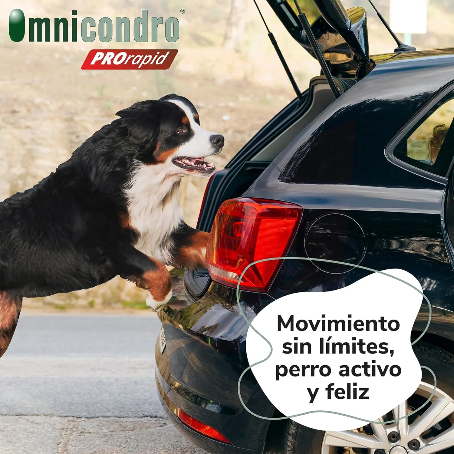 Imagen del producto 2