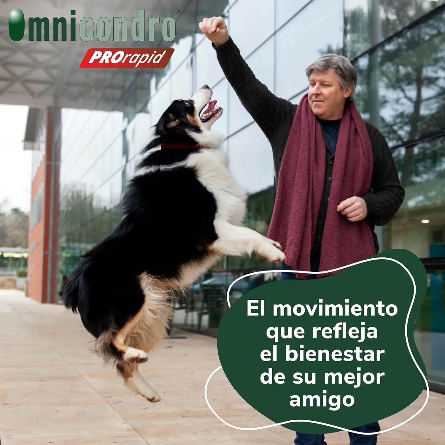 Imagen del producto 6