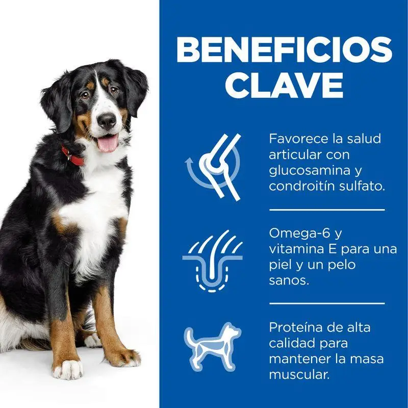Imagen del producto 2