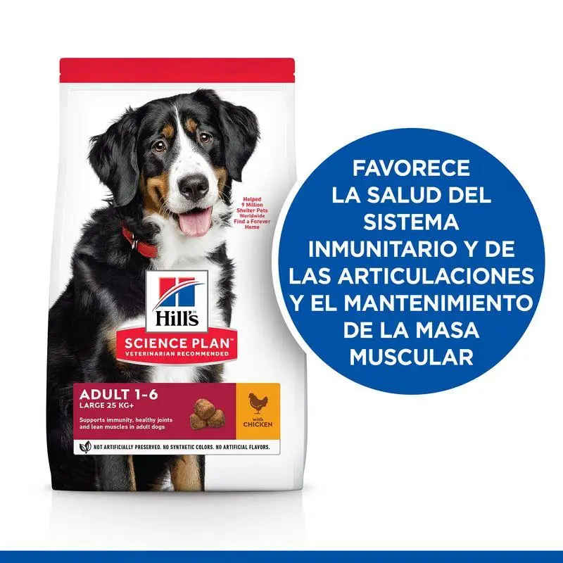 Imagen del producto 3