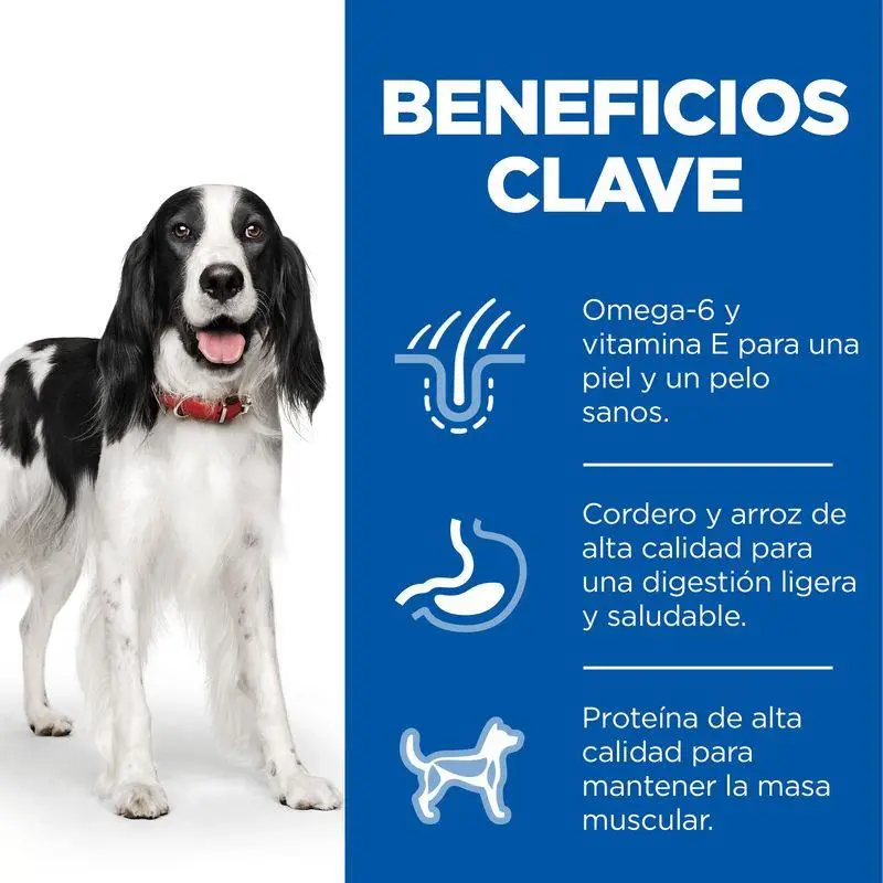 Imagen del producto 2