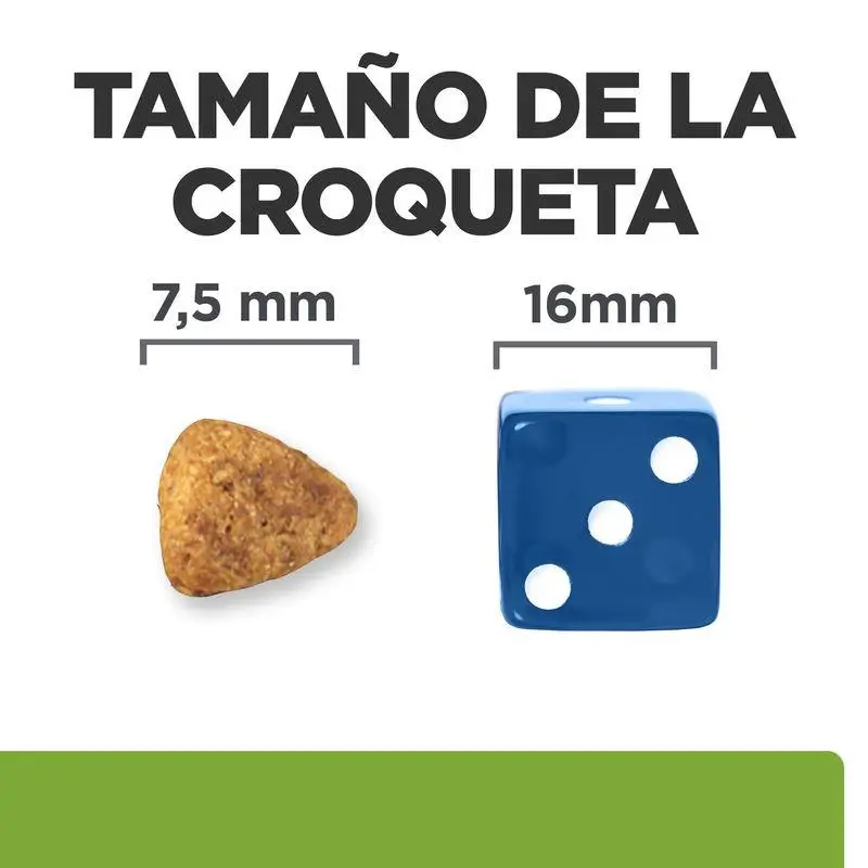 Imagen del producto 2