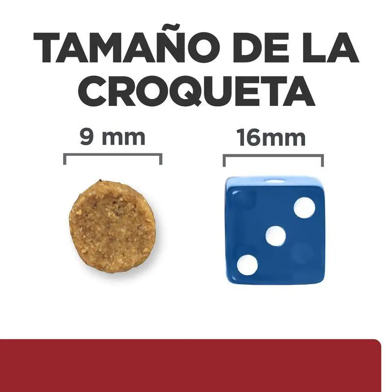 Imagen del producto 2