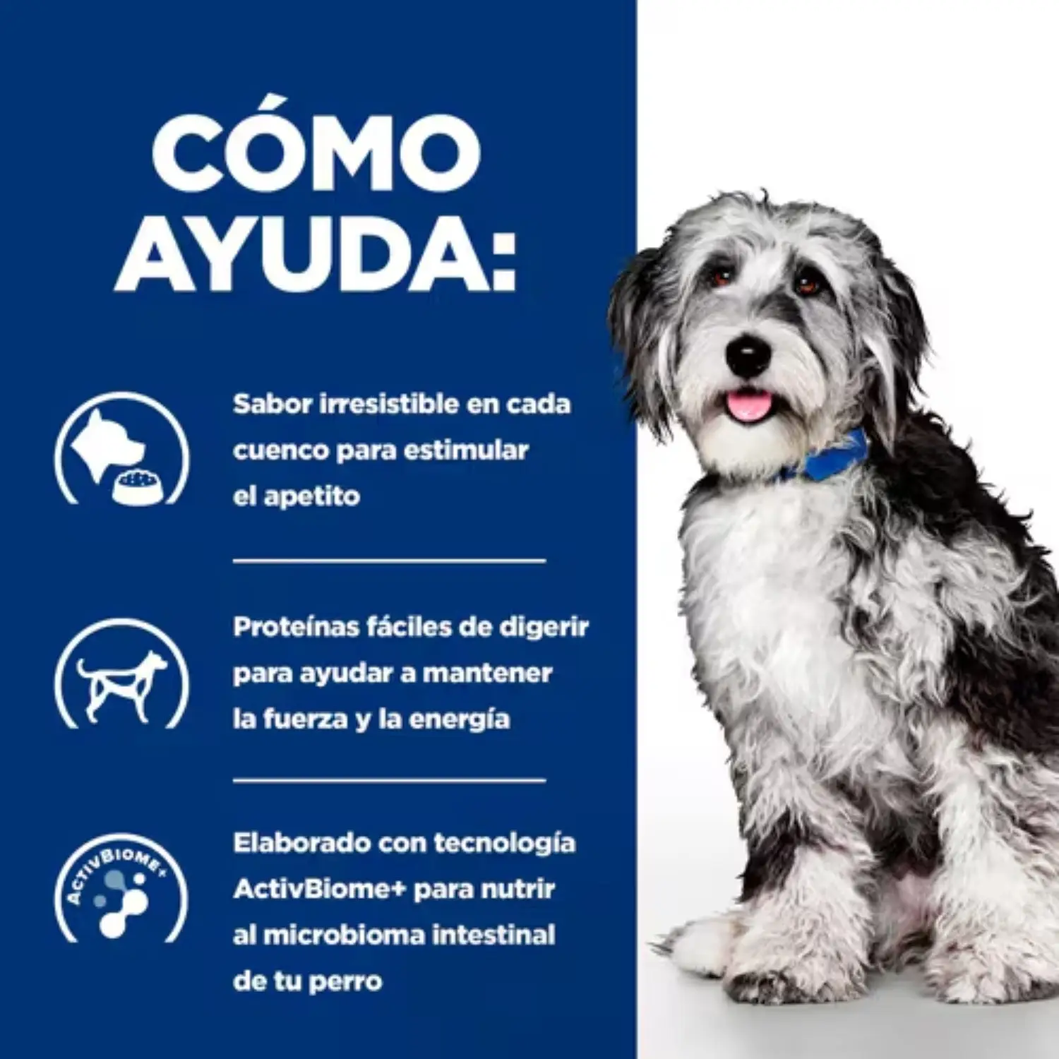 Imagen del producto 3
