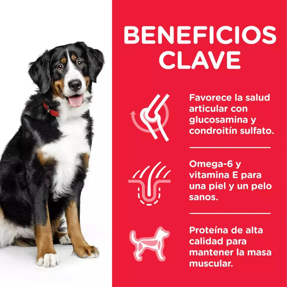 Imagen del producto 2