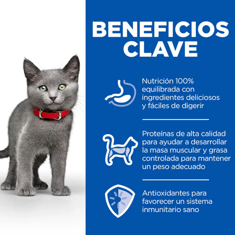 Imagen del producto 3