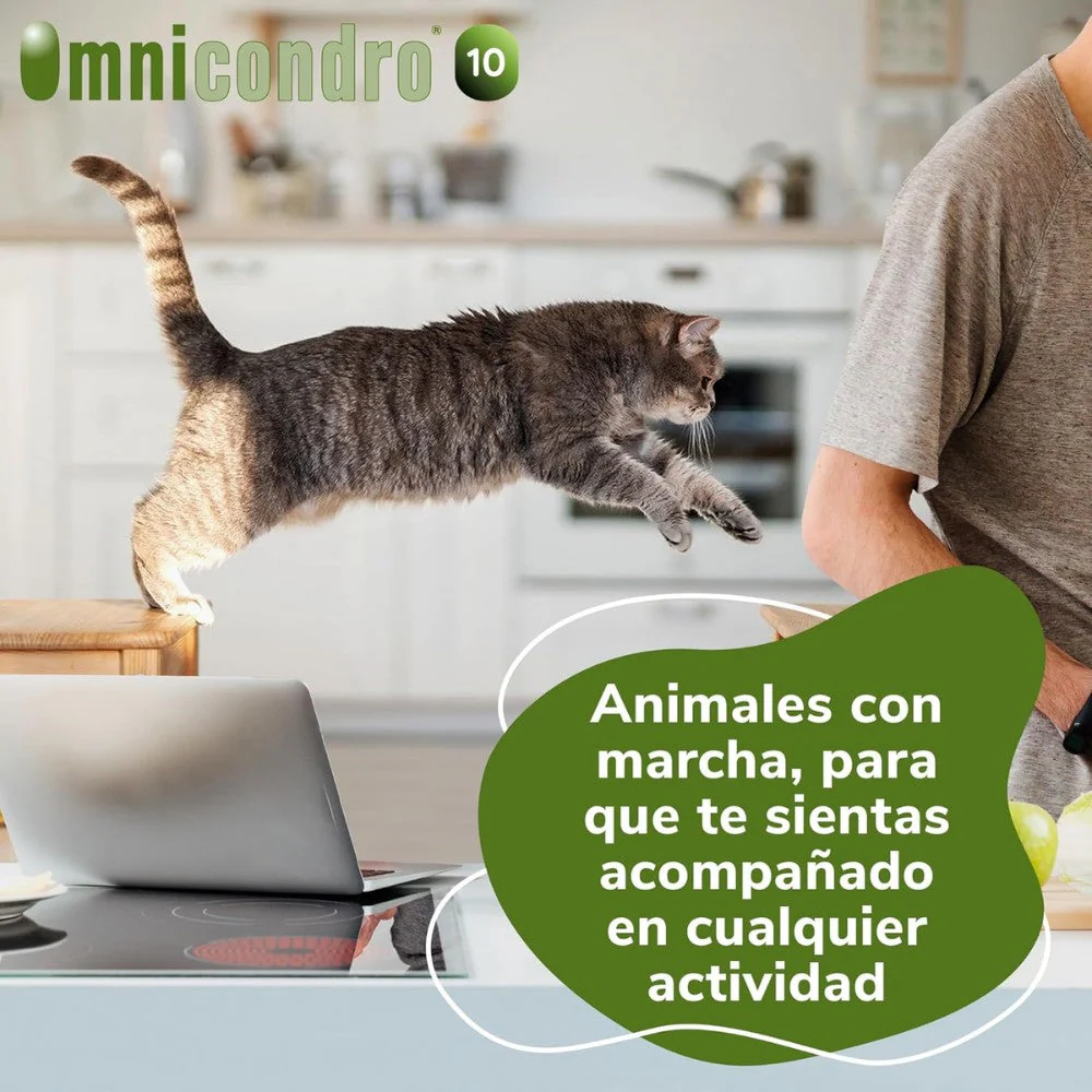 Imagen del producto 6