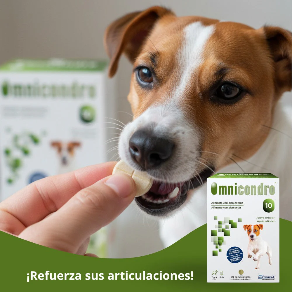 Imagen del producto 7