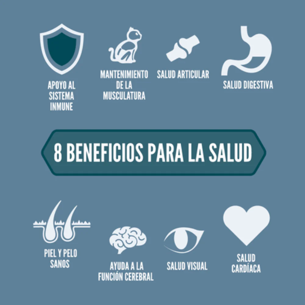 Imagen del producto 4