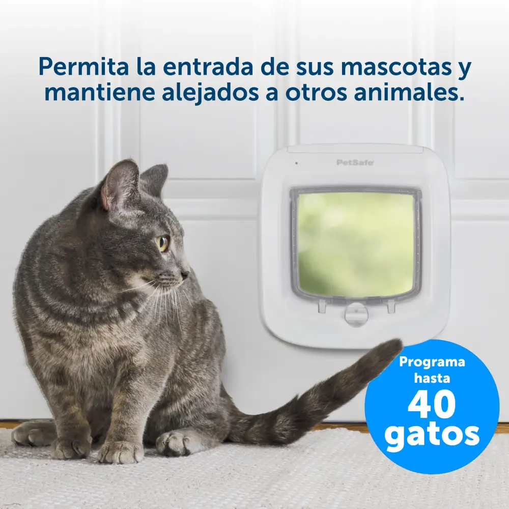 Imagen del producto 6