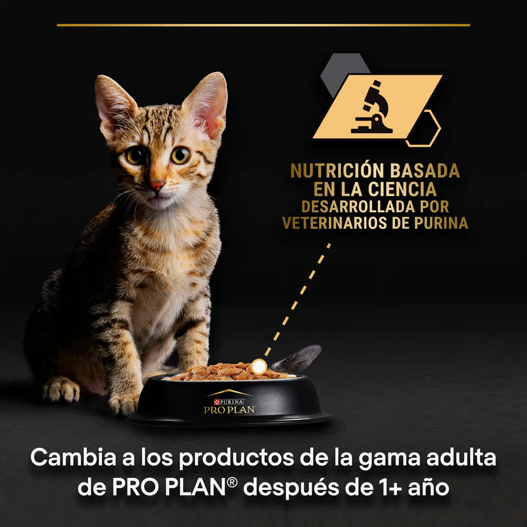 Imagen del producto 8