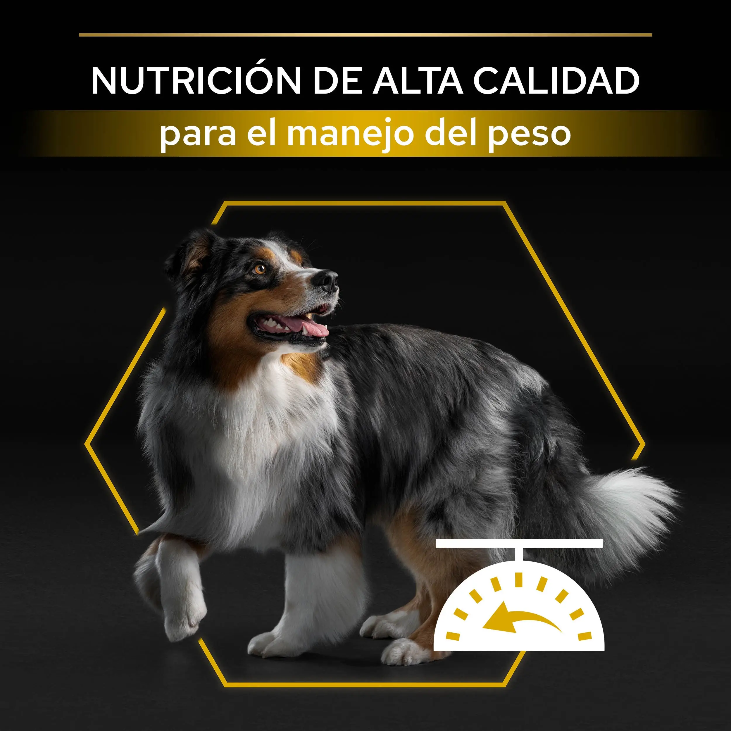 Imagen del producto 8