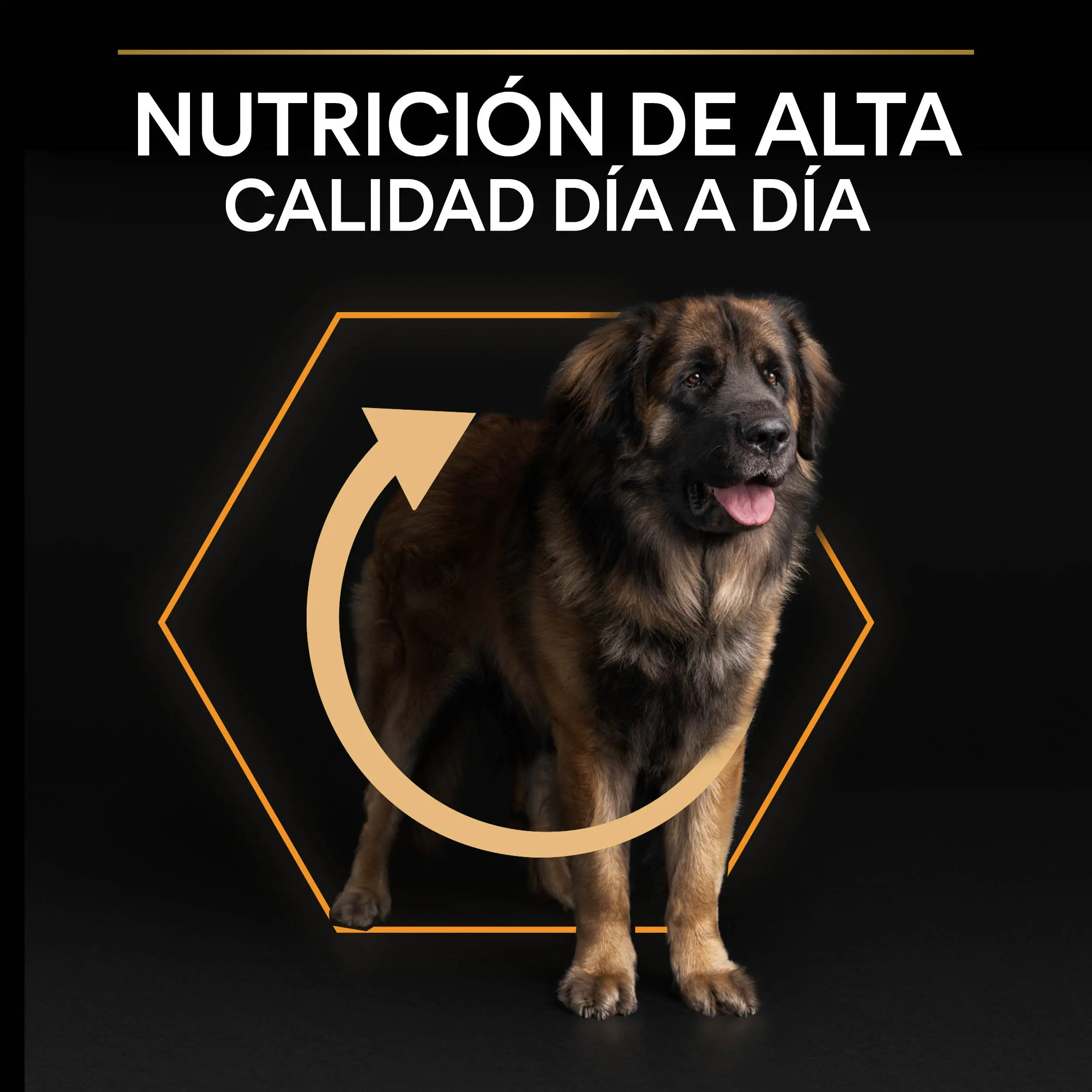 Imagen del producto 10