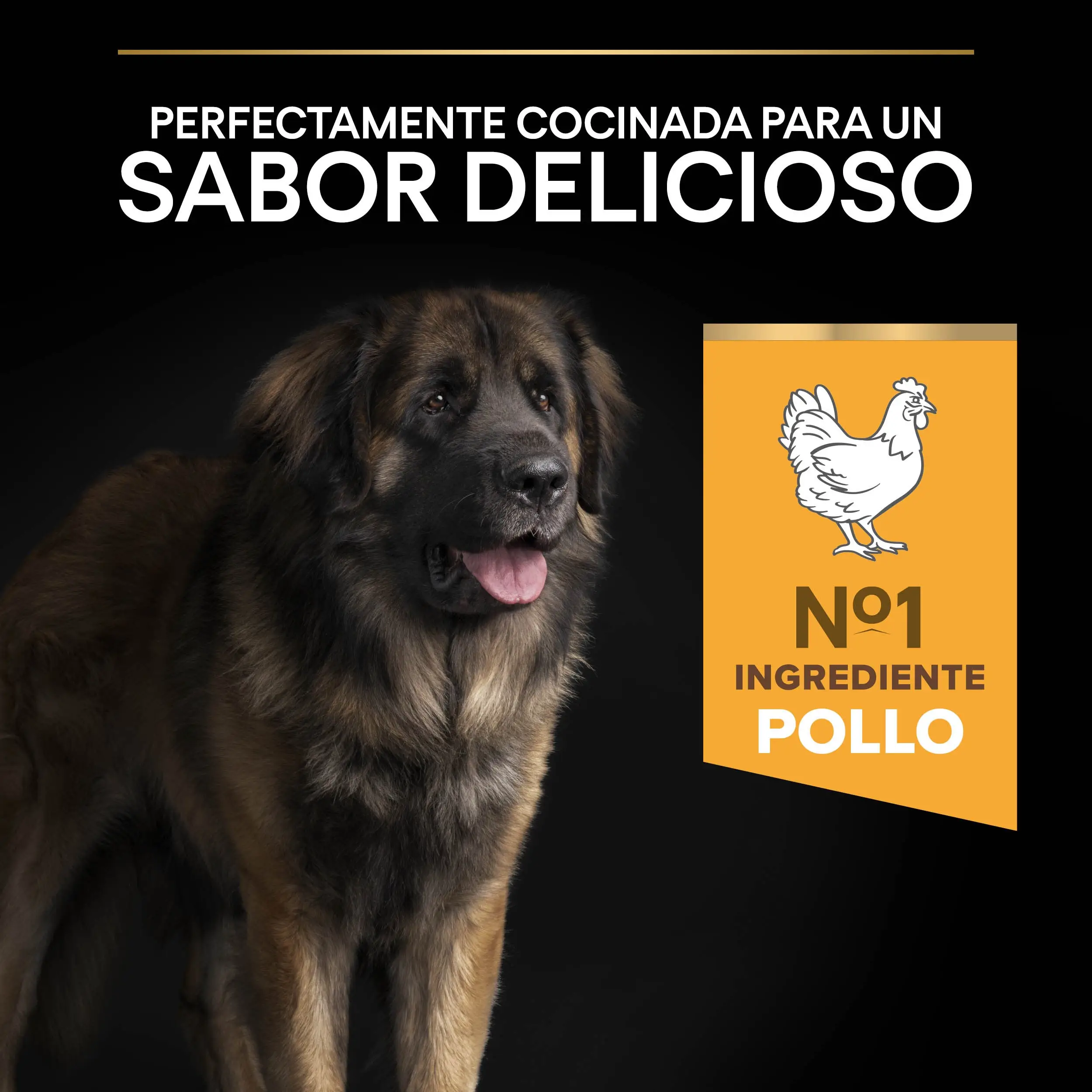 Imagen del producto 9
