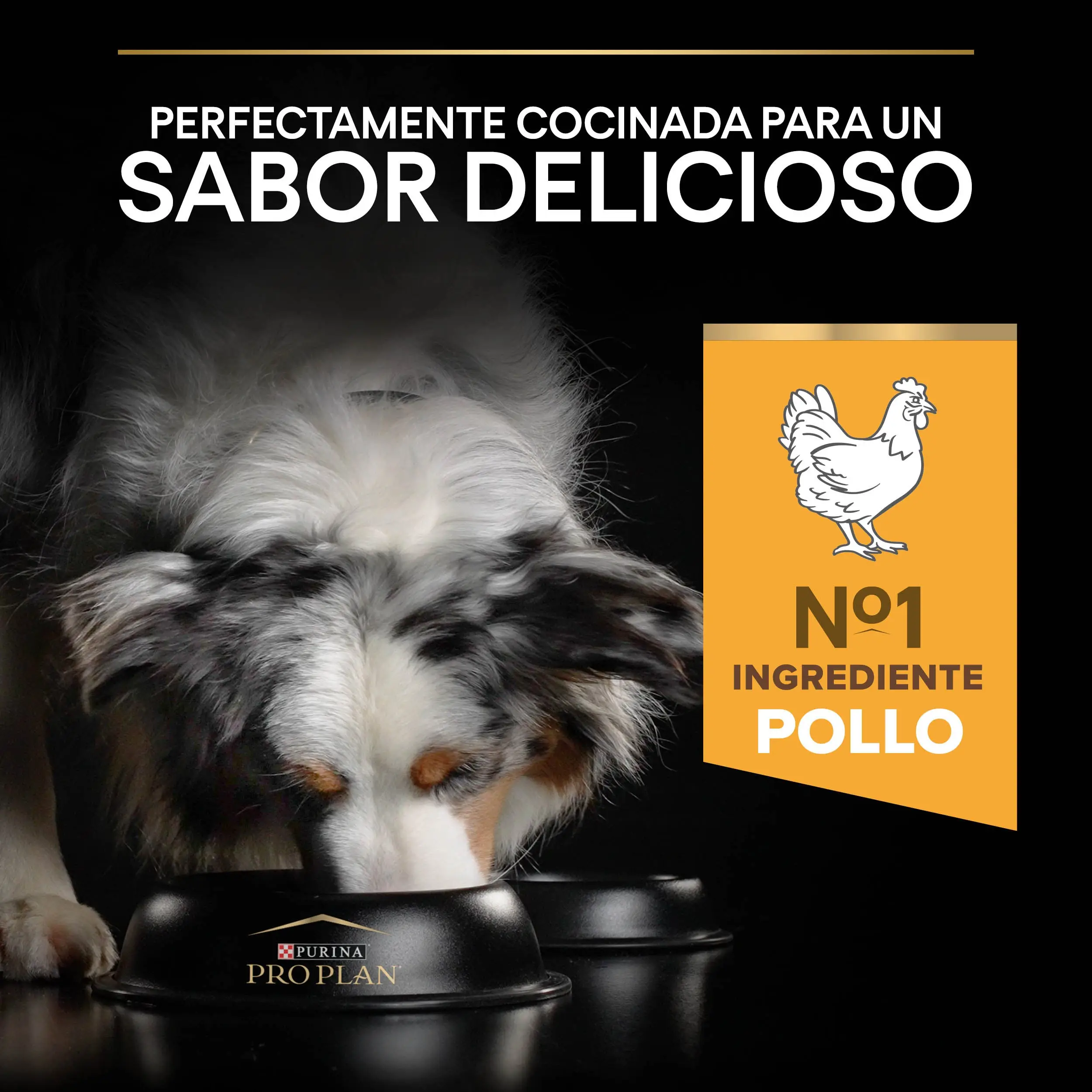 Imagen del producto 8