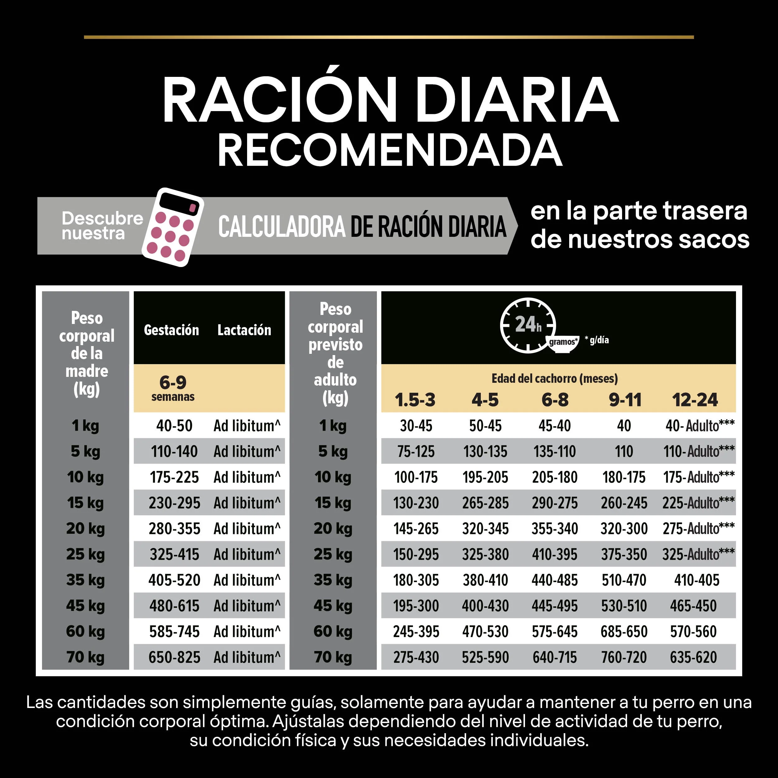 Imagen del producto 10