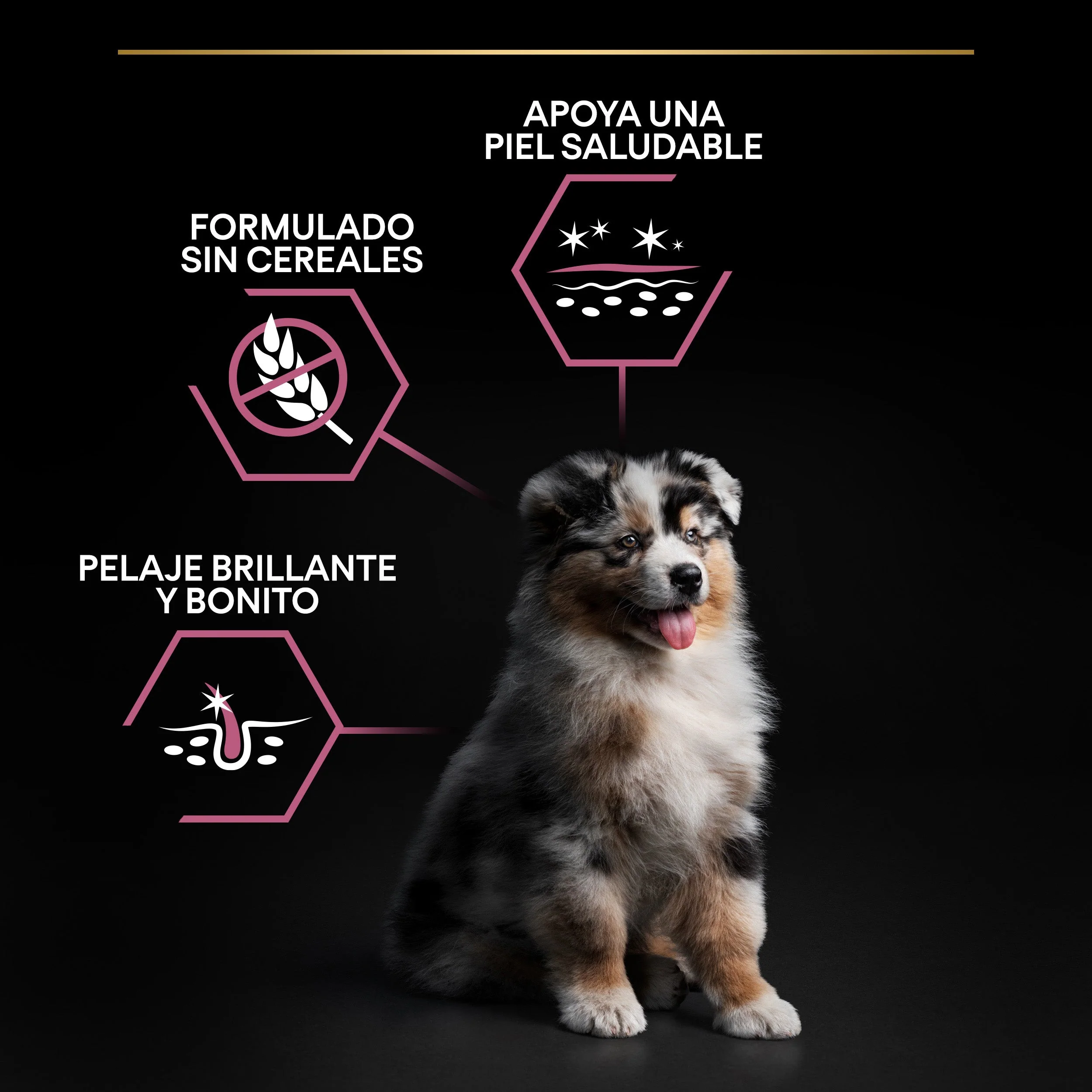 Imagen del producto 8