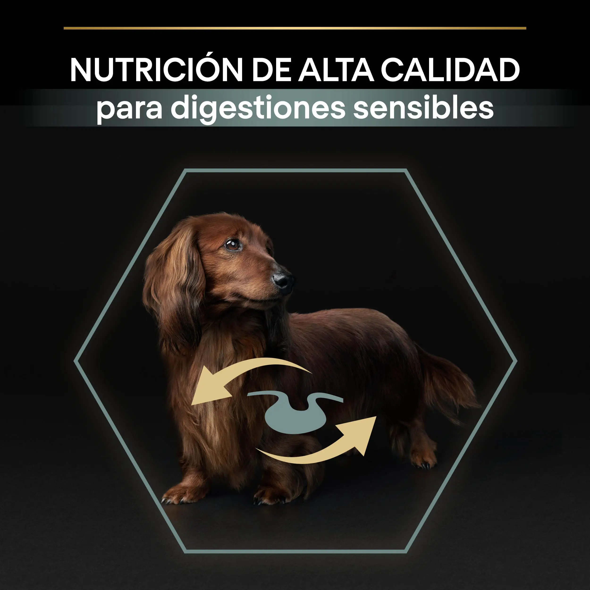 Imagen del producto 8