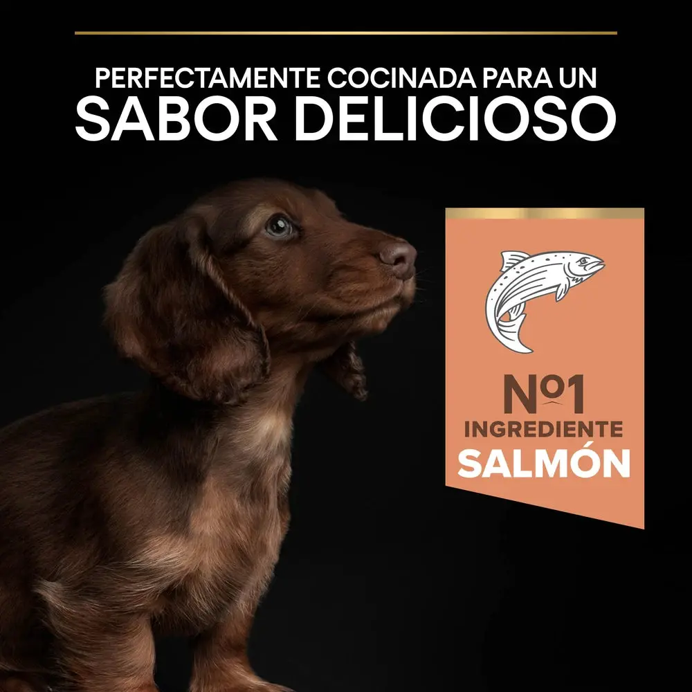 Imagen del producto 8
