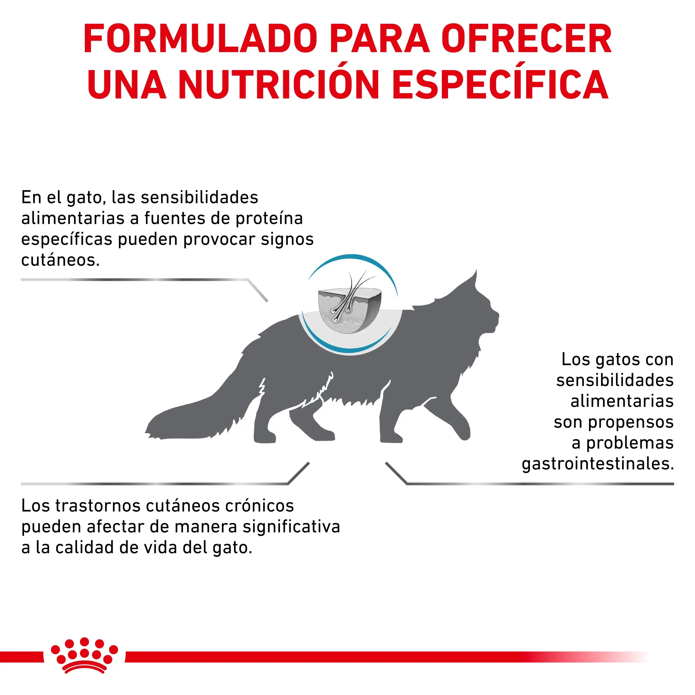 Imagen del producto 9