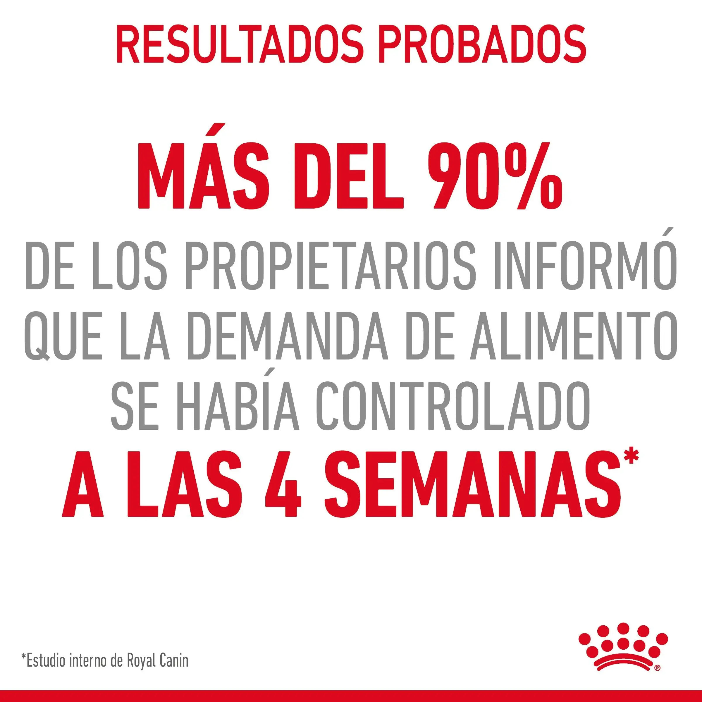 Imagen del producto 10