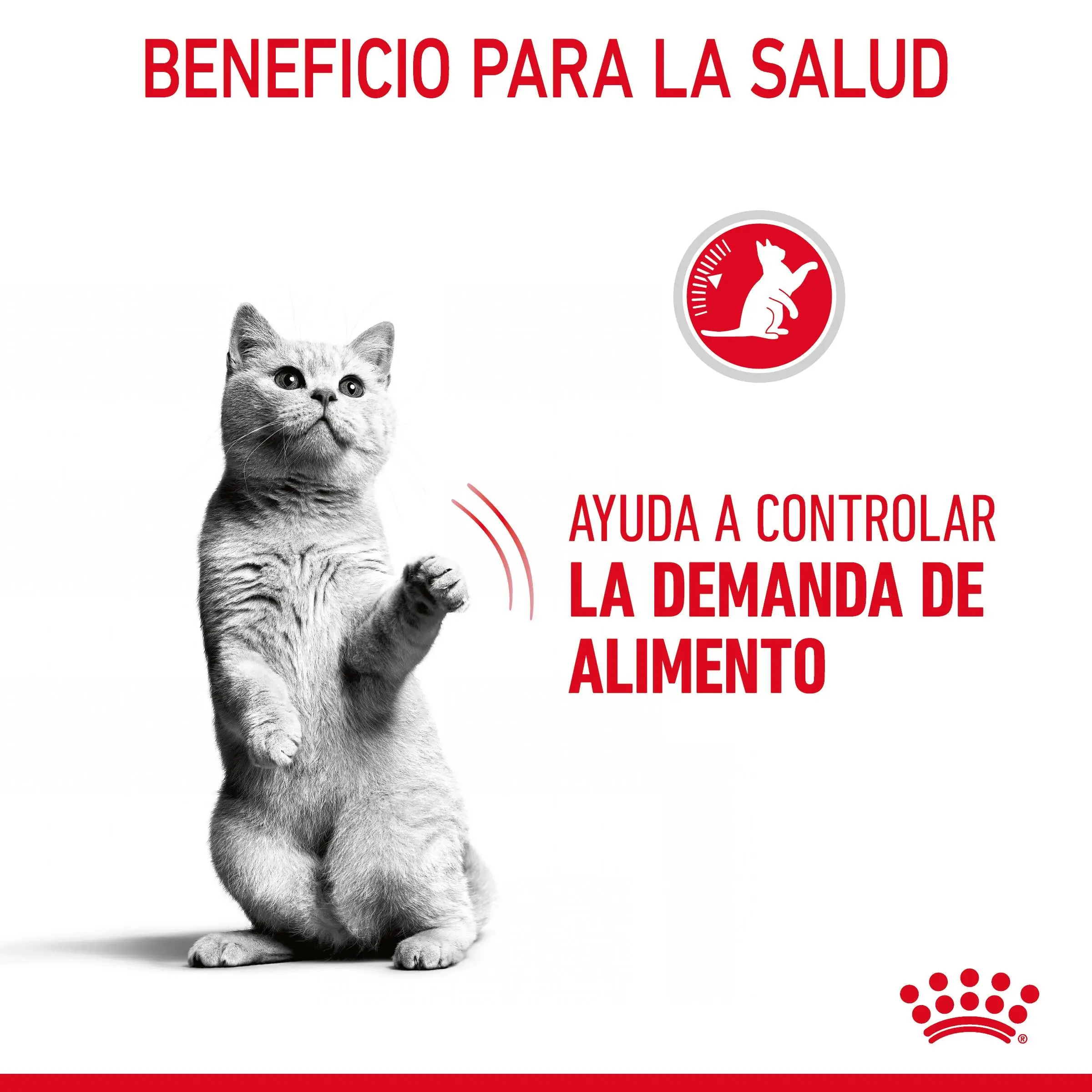 Imagen del producto 11