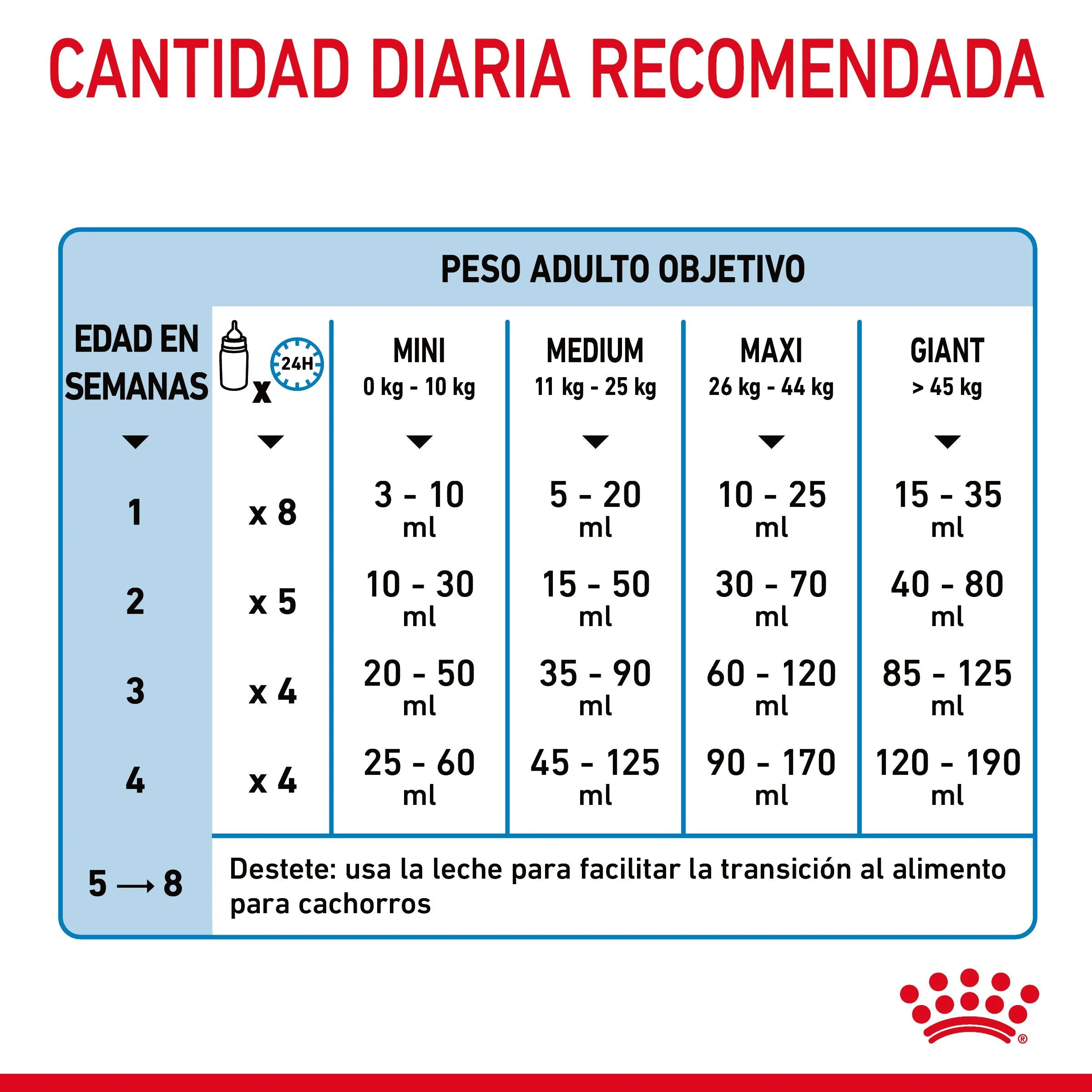 Imagen del producto 11