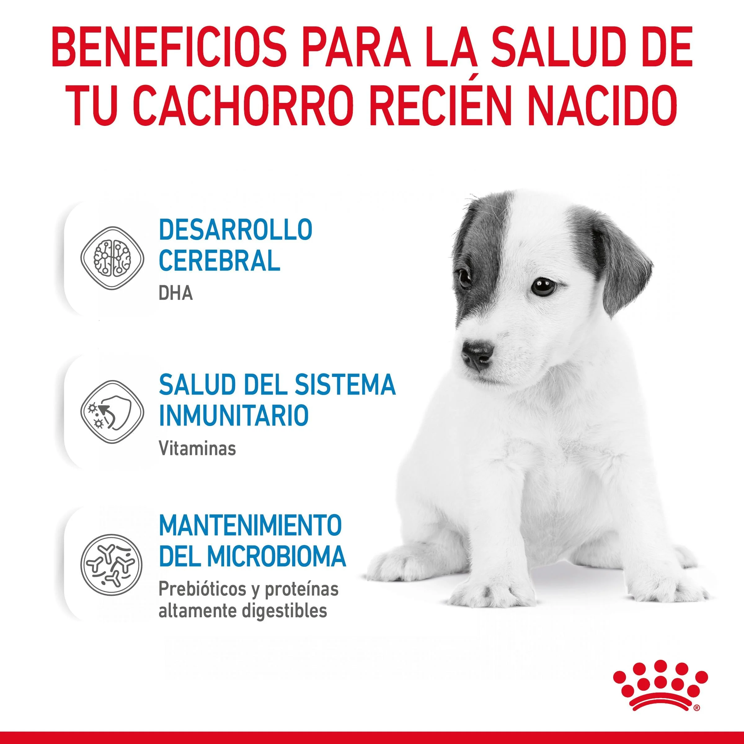 Imagen del producto 9