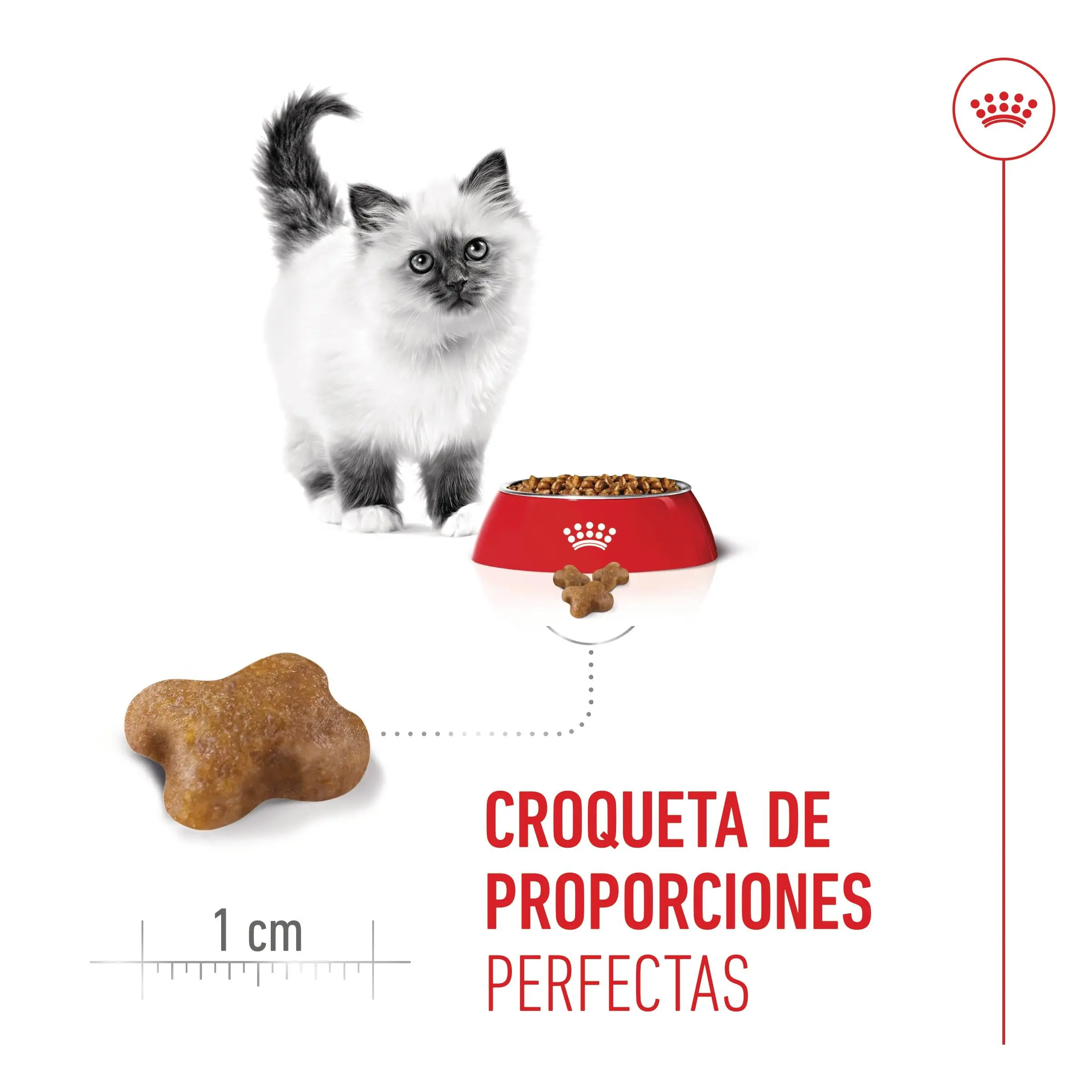 Imagen del producto 10