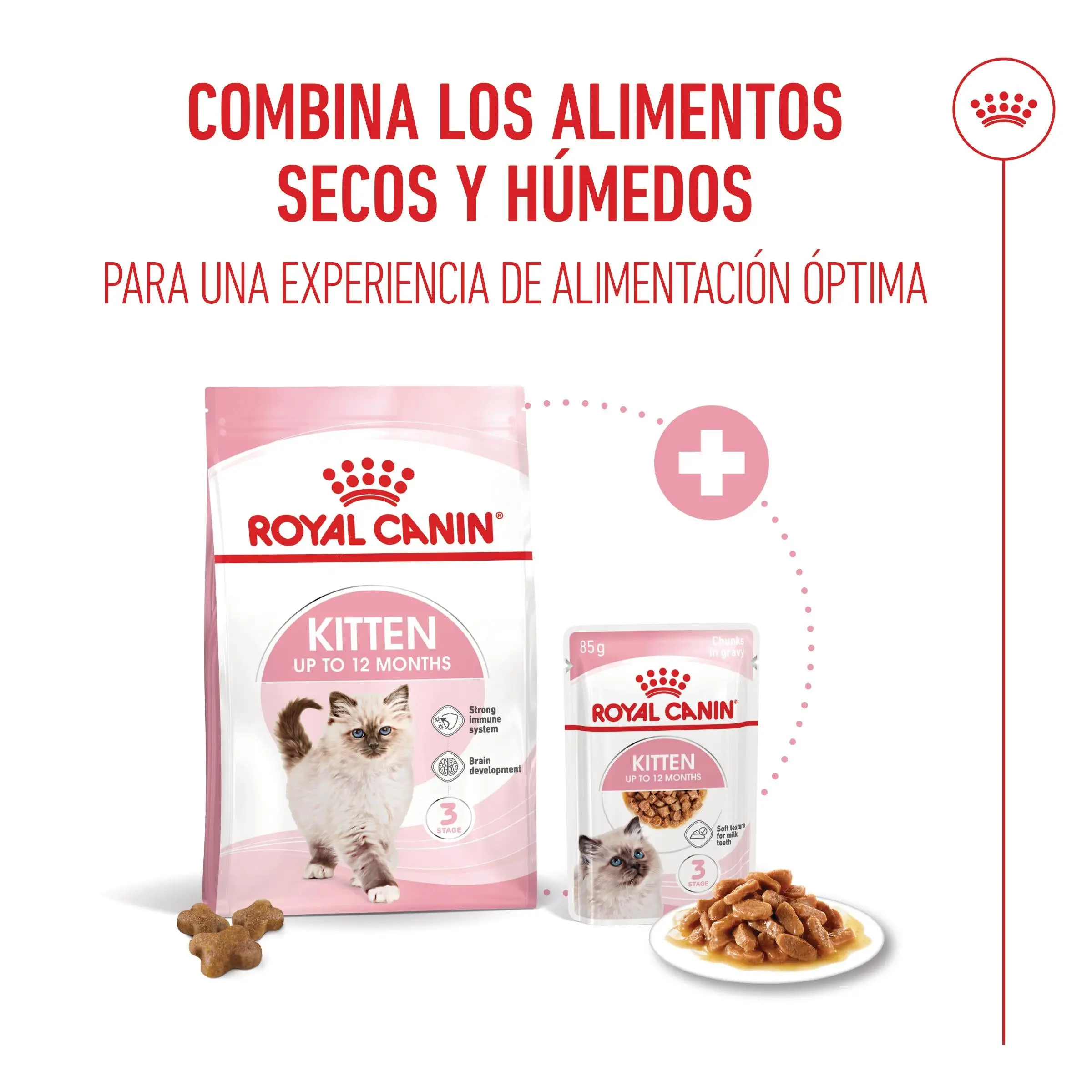 Imagen del producto 11