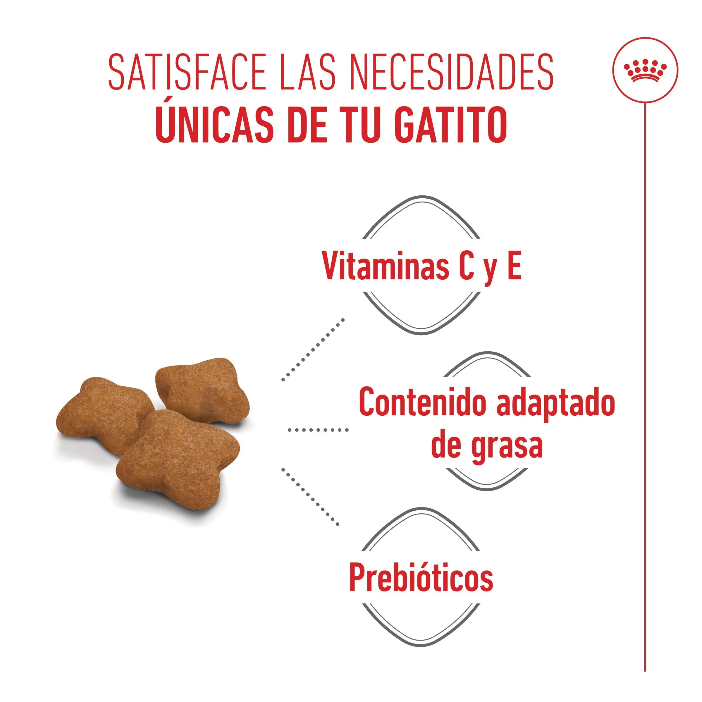 Imagen del producto 9