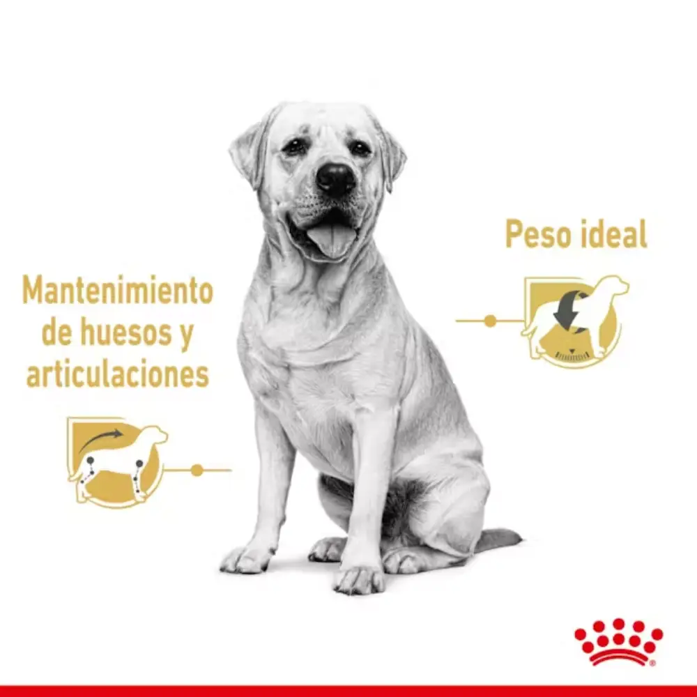 Imagen del producto 5