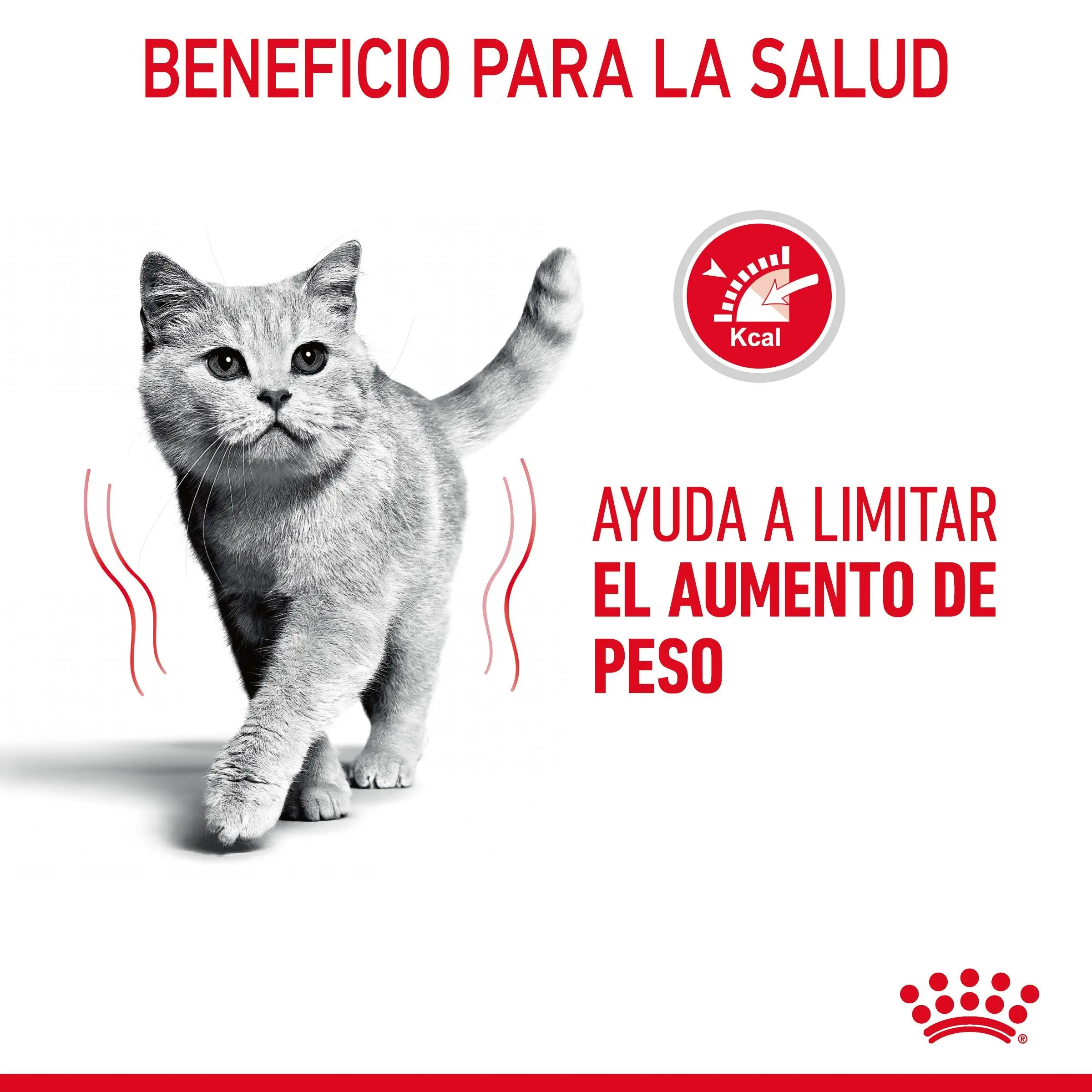 Imagen del producto 10