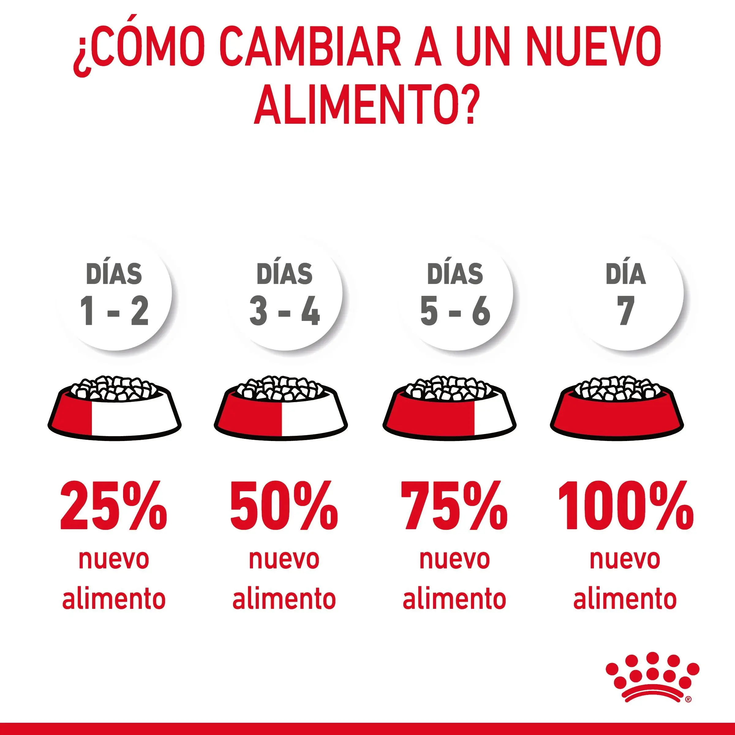 Imagen del producto 8