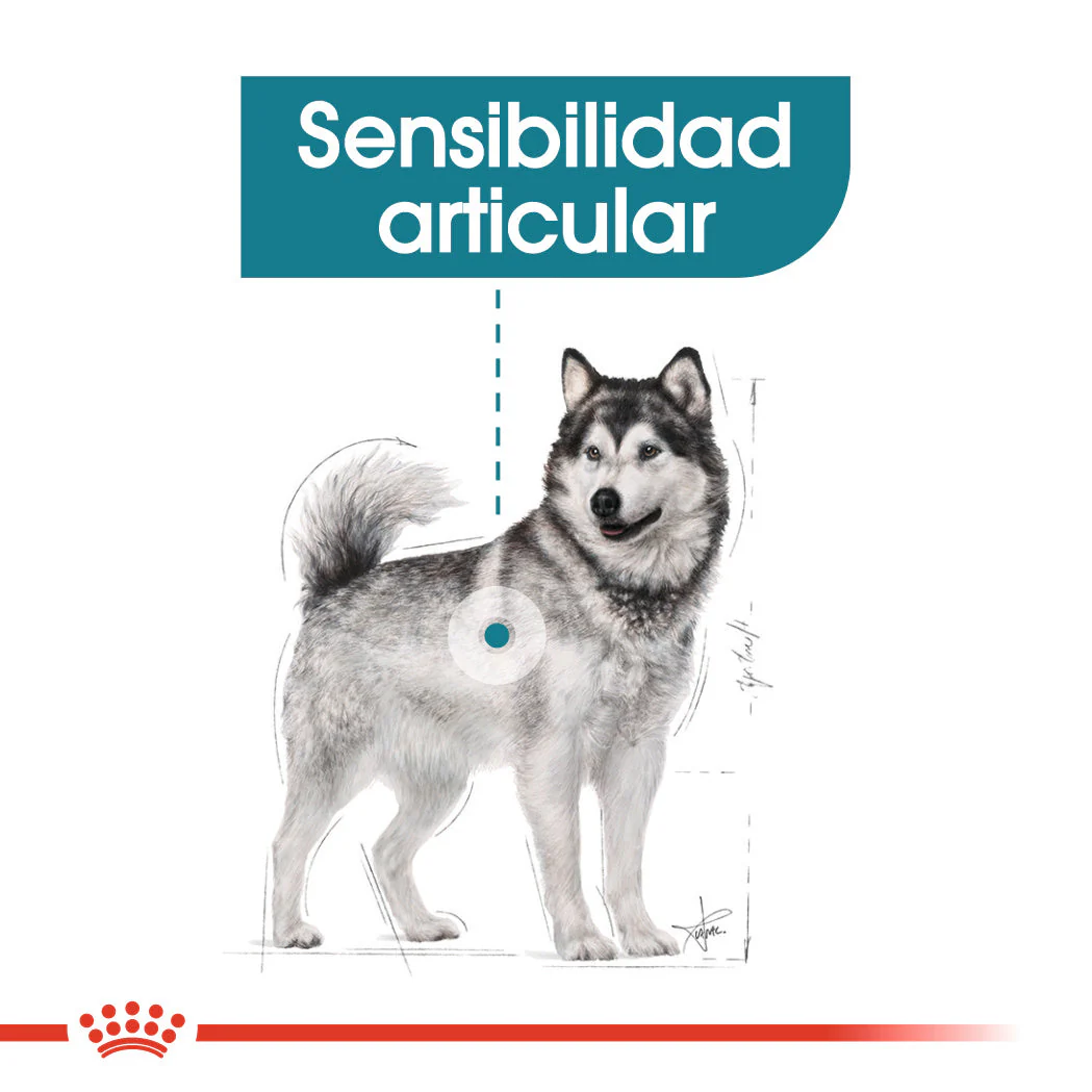 Imagen del producto 6
