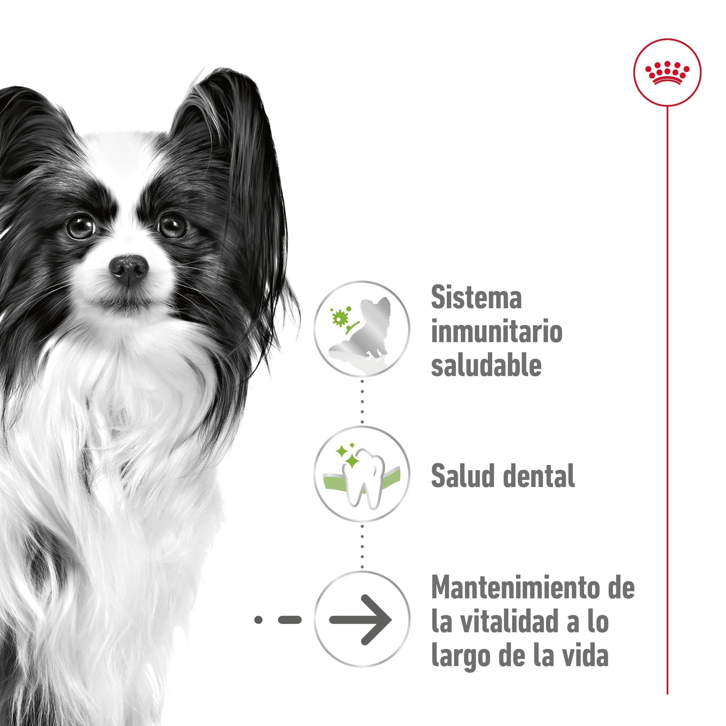 Imagen del producto 2